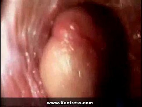 best of Vagina inside view