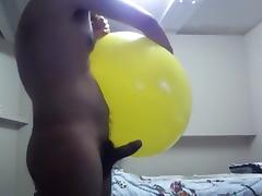 Canine reccomend balloons sex