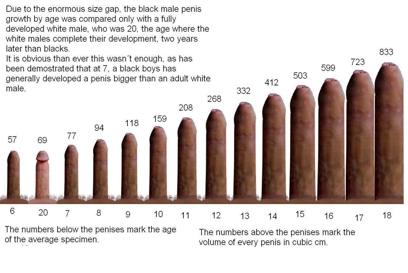 Porn Dick Size