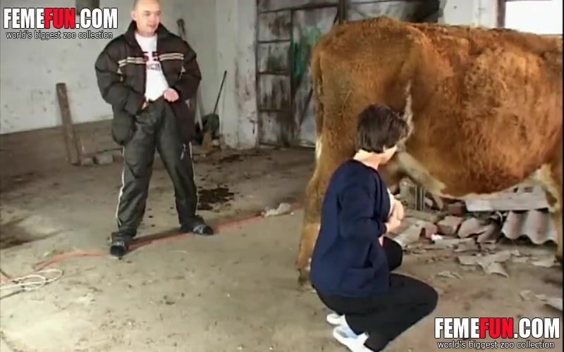 Girls fucked by cow - Sex photo