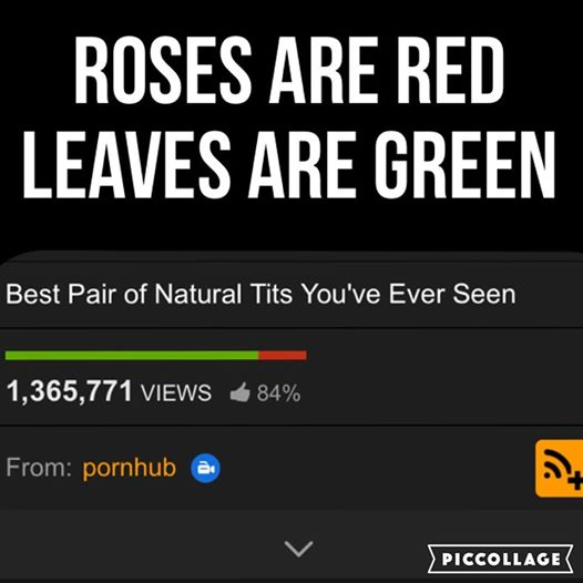 Roses Are Red Violets Are Blue Porn