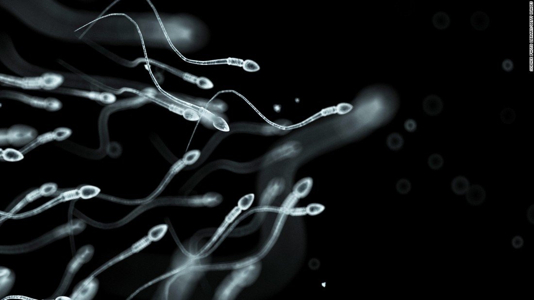Prices paid in united states for sperm donations