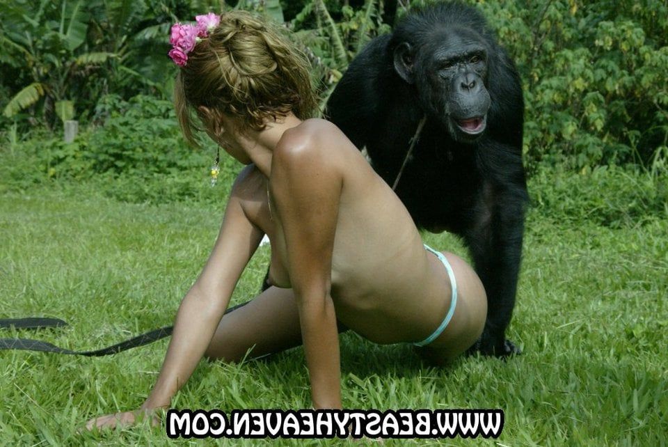 best of Videos Women fucking chimpanzees