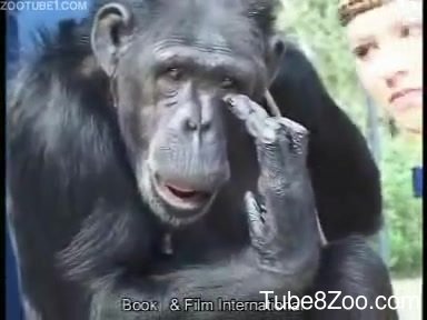 Women fucking chimpanzees videos