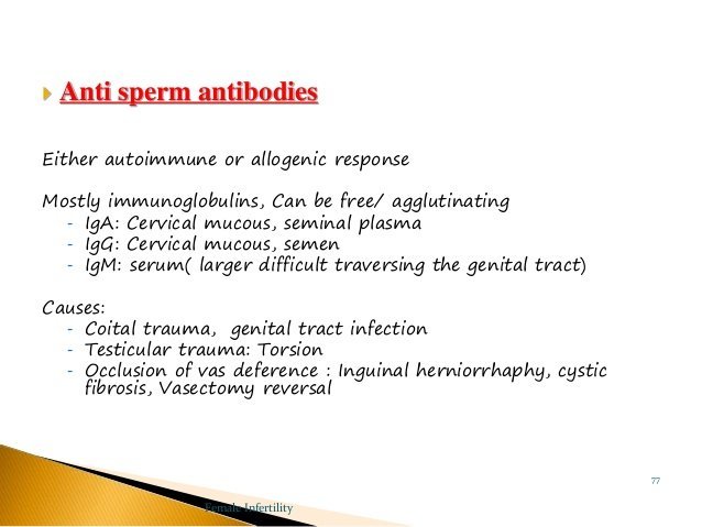 Sabriel reccomend Treating anti sperm antibodies