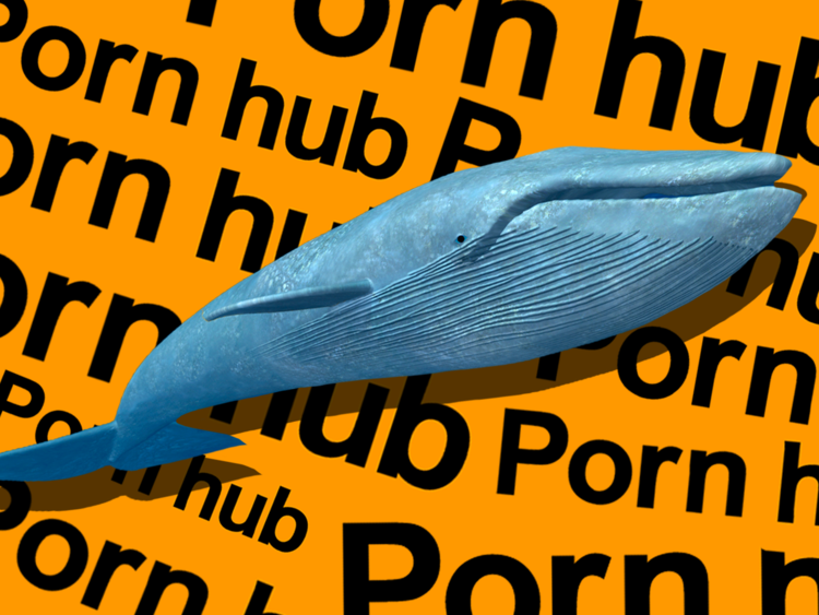 Mooch reccomend Sperm whale shape