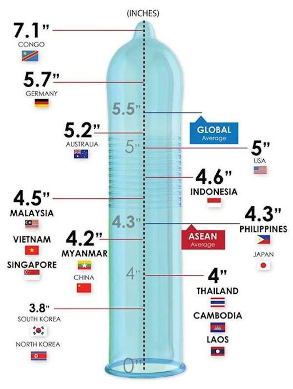 Middle east cock average