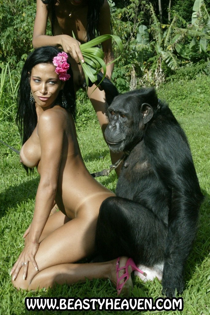 best of Videos Women fucking chimpanzees