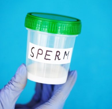 best of Increase Foods Count Your sperm count Sperm Incease That
