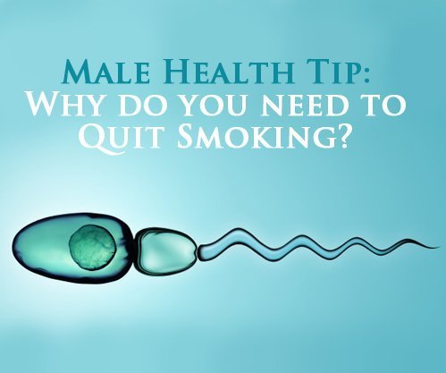 best of Sperm Can count reduce smoking