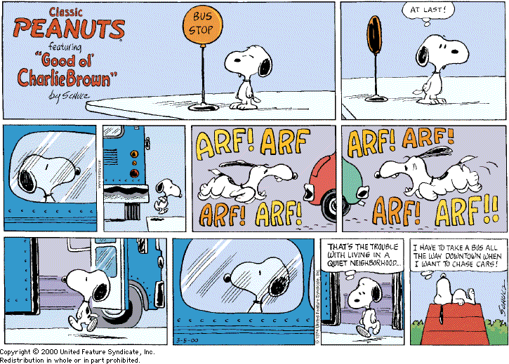 Comic strip peanuts is named after