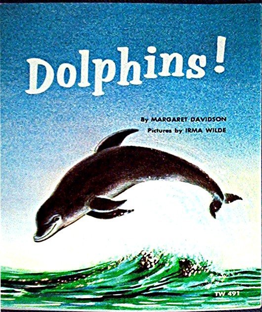 Dolphin spank baby