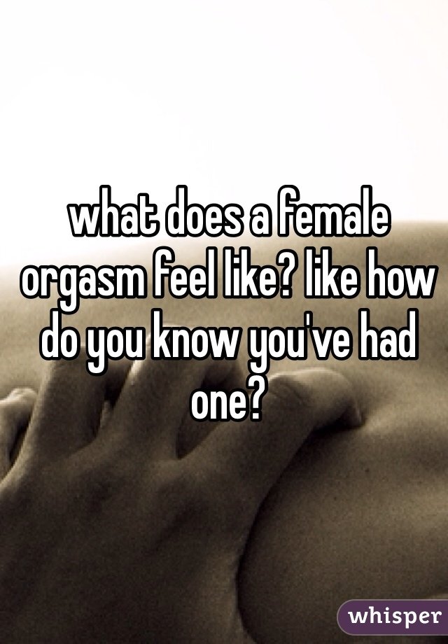 Bandicoot reccomend Orgasm feels like
