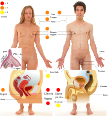 Visual pics of a male orgasm