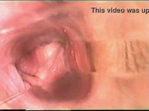 Camera Inside Pussy During Sex