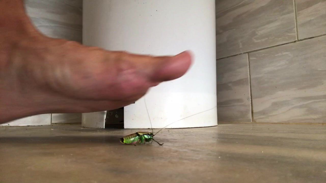 Barefoot crush bug